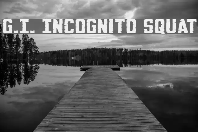G.I. Incognito Squat フォント examples