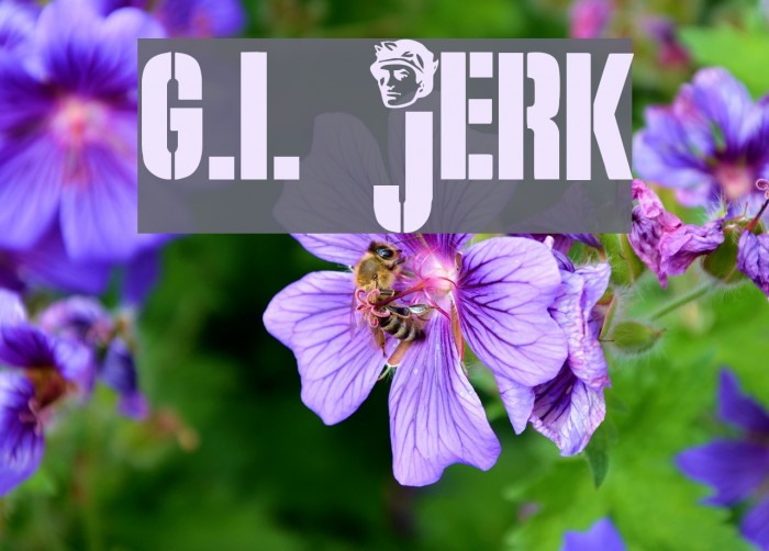 G.I. JERK Font examples