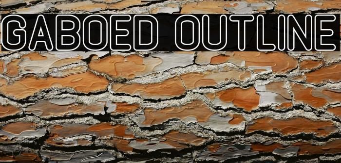 GABOED Outline Example 2