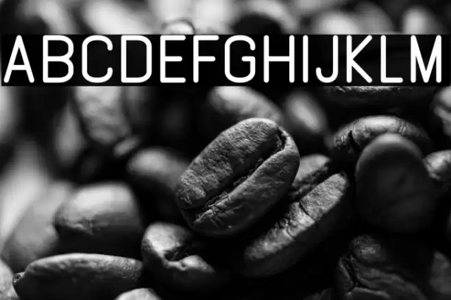 GABOED thin Font examples