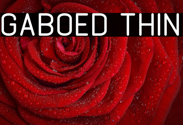 GABOED thin Example 1