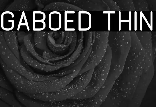 GABOED thin Font examples