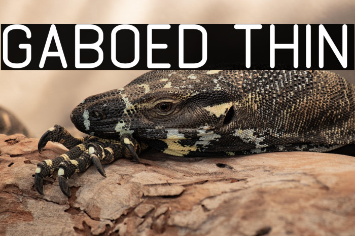 GABOED thin Example 2