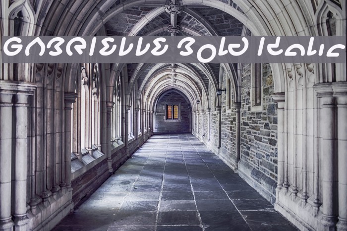 GABRIELLE Bold Italic Example 3