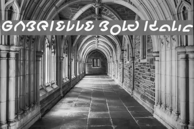 GABRIELLE Bold Italic Font examples