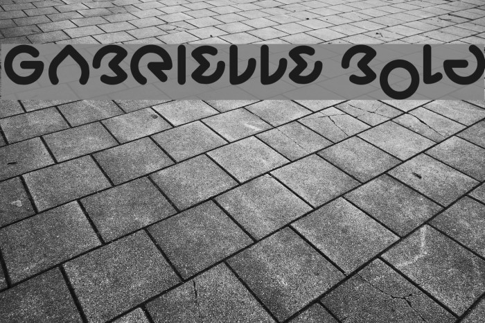 GABRIELLE Bold Font examples
