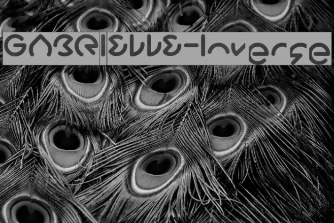 GABRIELLE-Inverse Font examples