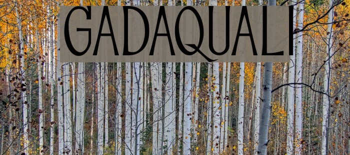 GADAQUALI Font examples