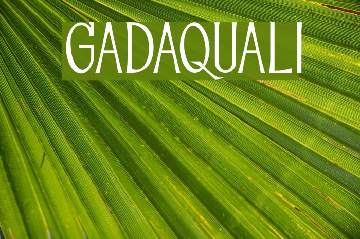 GADAQUALI Font examples