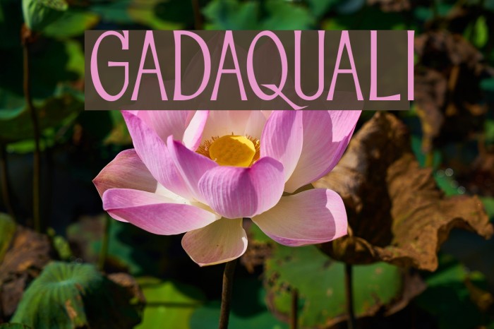 GADAQUALI Font examples