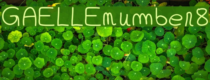 GAELLEnumber8 Font examples