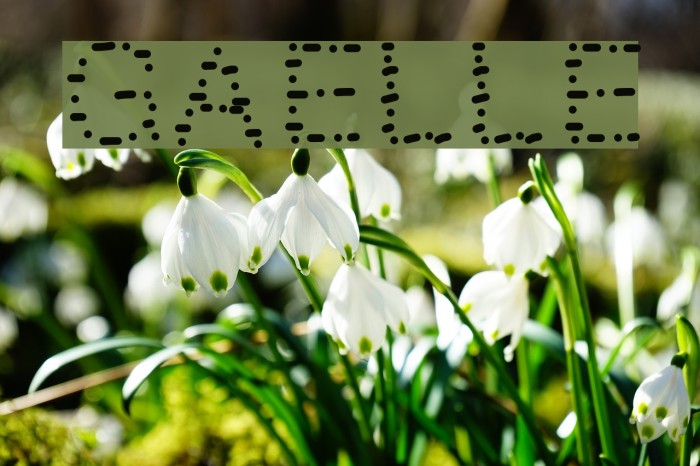 GAELLEnumber9 Font examples
