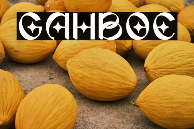 GAHIBOE Example 2