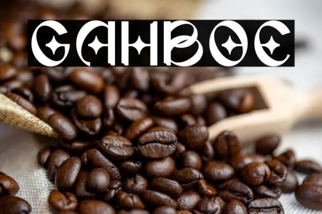 GAHIBOE Example 3