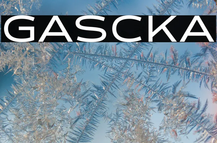 GALISCKA Example 1