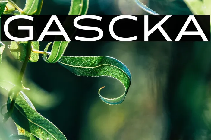 GALISCKA Example 2