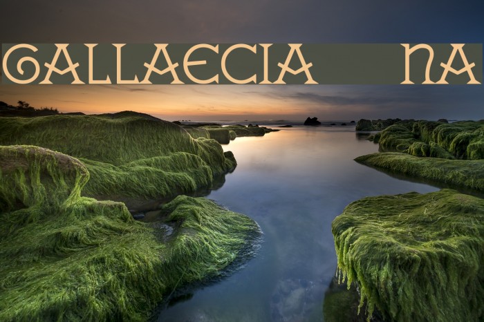 GALLAECIA Normal Font examples