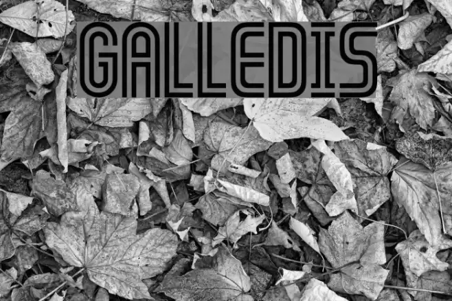 GALLEDIS Font examples