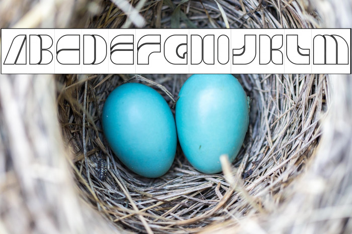 GAME PLAYER-Hollow-Inverse Example 2