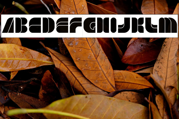 GAME PLAYER-Inverse Example 3