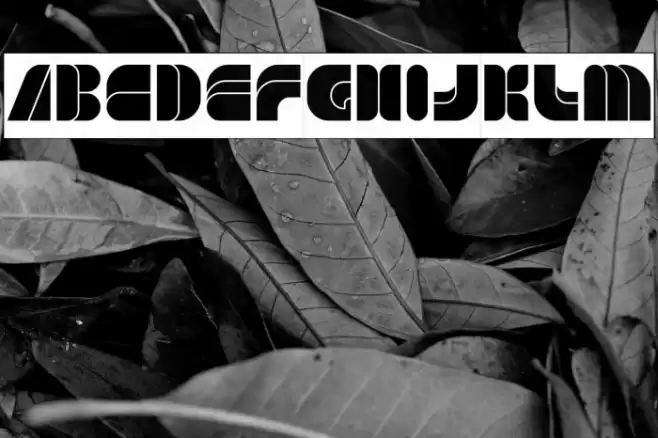 GAME PLAYER-Inverse Font examples