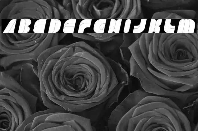 GAME PLAYER Italic Font examples