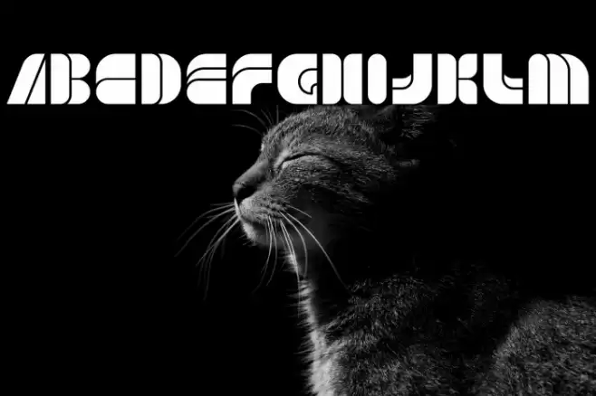 GAME PLAYER-Light Font examples