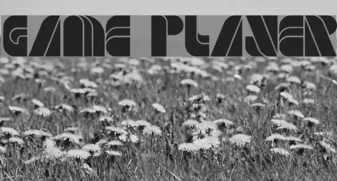 GAME PLAYER Font examples