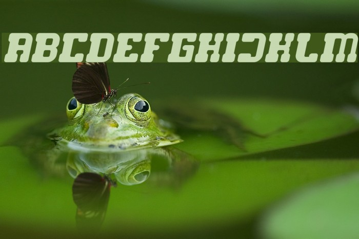 GAME ROBOT Bold Italic Font examples