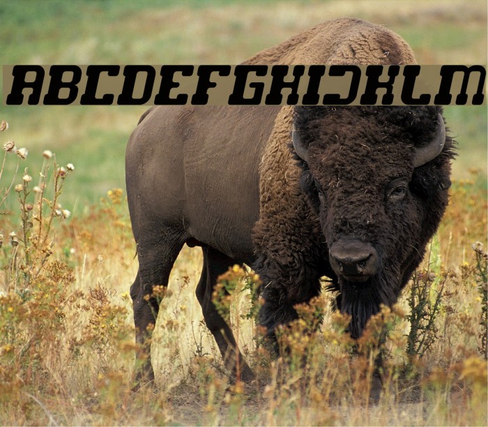 GAME ROBOT Italic Example 1