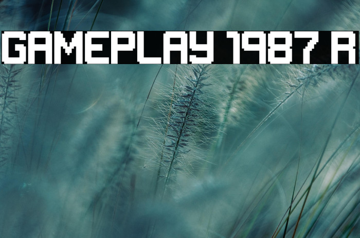 GAMEPLAY 1987 Regular Example 2