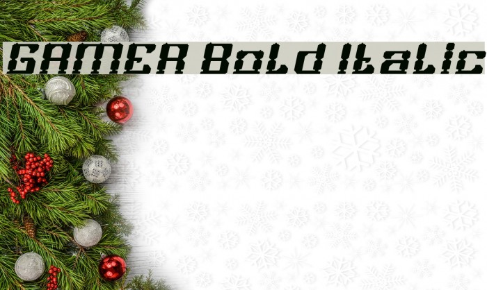 GAMER Bold Italic Font examples