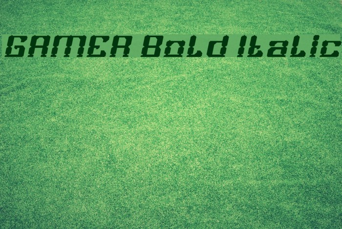 GAMER Bold Italic Font examples