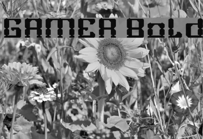 GAMER Bold Font examples