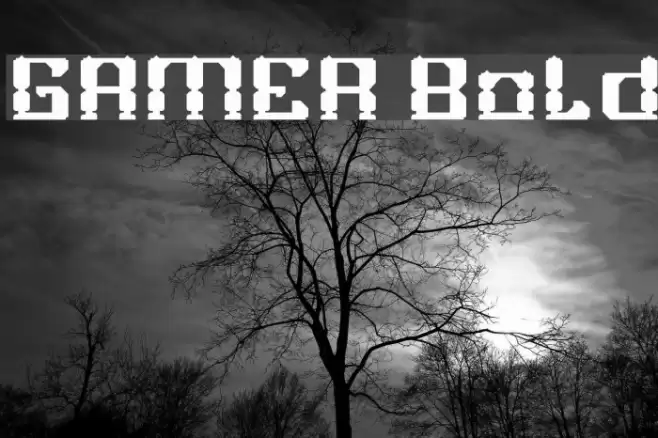 GAMER Bold Font examples