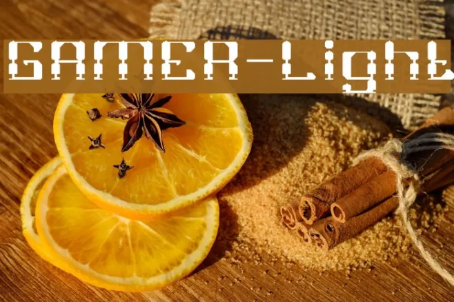 GAMER-Light Example 3