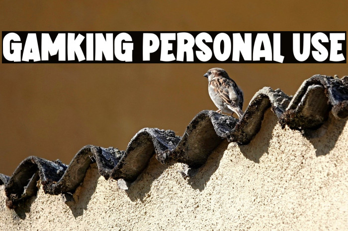 GAMKING Personal Use Example 1