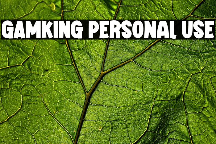 GAMKING Personal Use Example 2