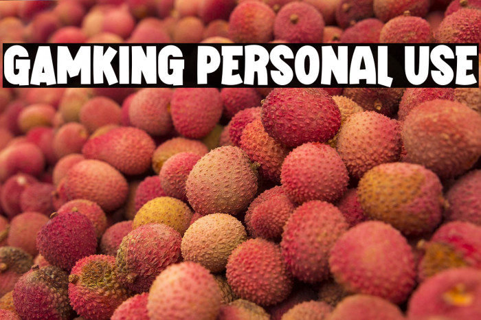 GAMKING Personal Use Example 3