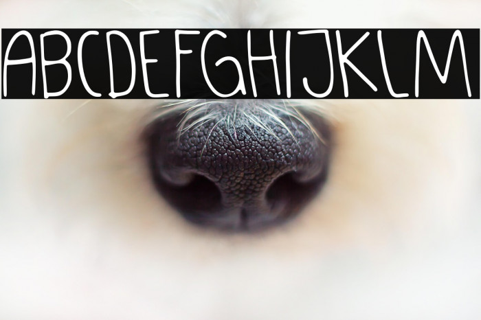 GANDULMATHENG Thin Example 1