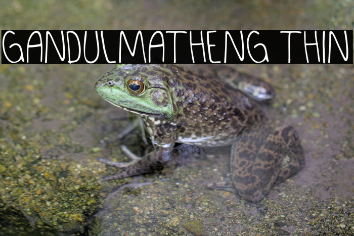 GANDULMATHENG Thin Example 1