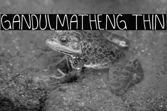 GANDULMATHENG Thin Font examples