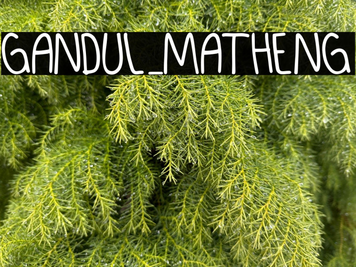 GANDUL_MATHENG Example 2