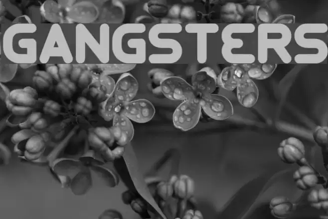 GANGSTERS Font examples
