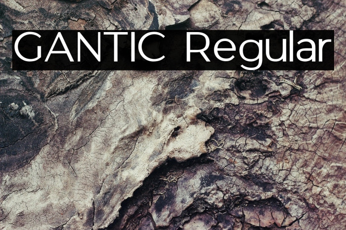 GANTIC Regular Example 2