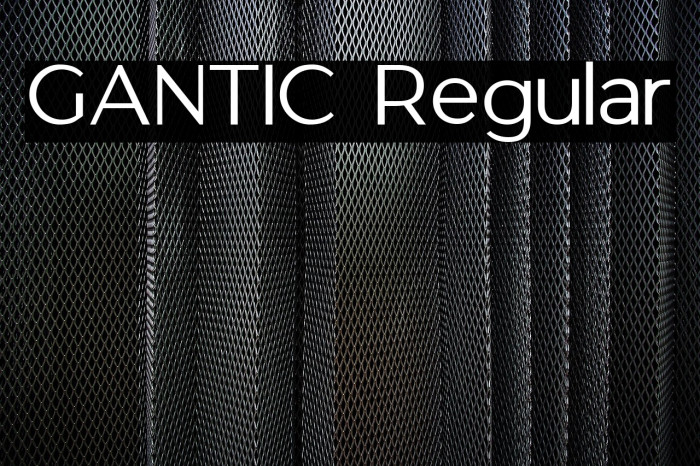 GANTIC Regular Example 3