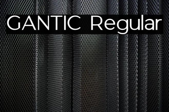 GANTIC Regular Example 3