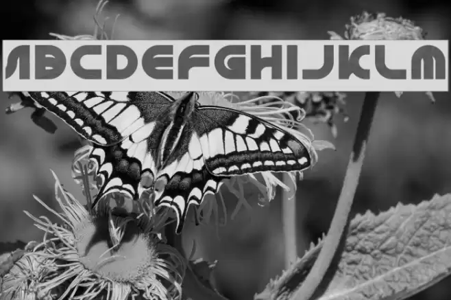 GAPHIC DESIGN-Inverse Font examples