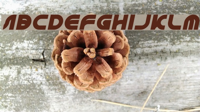 GAPHIC DESIGN Italic Example 1