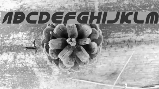 GAPHIC DESIGN Italic Font examples